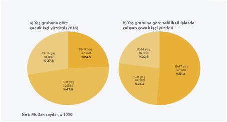 oluştururken tehlikeli işlerde çalışan çocuk işçi sayısı toplam çocuk sayısının %2 sini oluşturmaktadır.