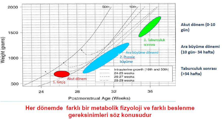 Prematüre bebeklerin postnatal büyümesi 24-25 hf