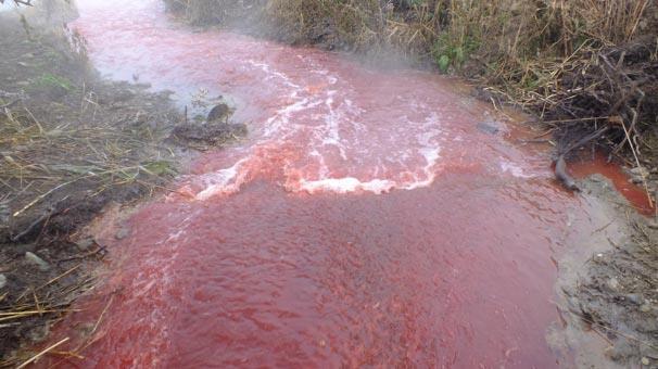 Susurluk Çayı bu kısımda, önce Manyas Gölü ve Ulubat Gölünün ayaklarıyla, daha sonra