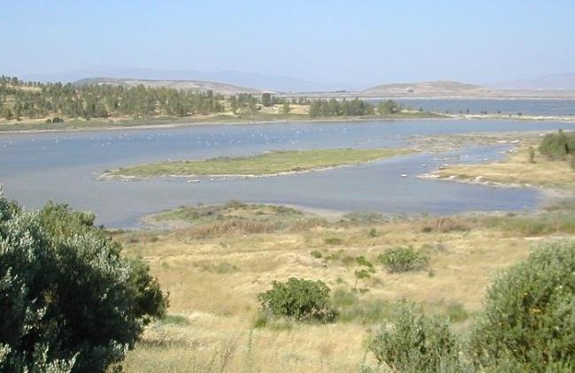 Ege Denizi ne ulaşan akarsular Gediz yakınlarından kaynaklanarak, Menemen yakınlarında denize dökülen Gediz Nehri,