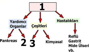 Bu tabloya bakılarak aşağıdaki sonuçlardan hangisi çıkarılamaz?