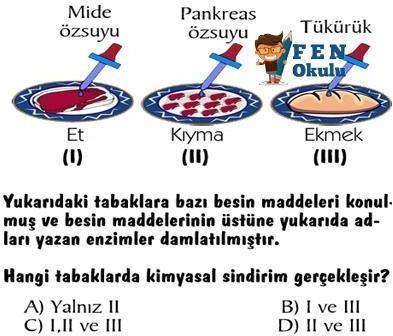 44-48- 49-45- Aş