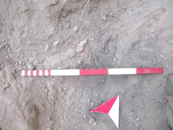 Resim 6-7 Sert tabakanın güneyi ile güney duvar arasında kalan kısımda sürdürülen seviye inme çalışmaları sırasında irili ufaklı kerpiç parçalarına rastlanmıştır. +35.20 m ile +35.