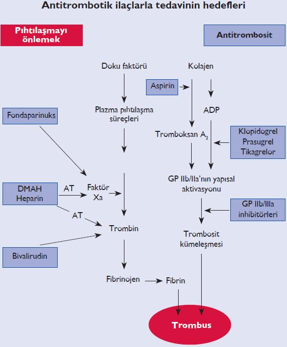 Antiplatelet tedavi Aspirin Primer PKG de eşlik tedavisi P2Y12 inhibitörleri Klopidogrel Prasugrel Tikagrelor Glikoprotein IIbIIIa inhibitörleri Absiksimab Eptifibatit