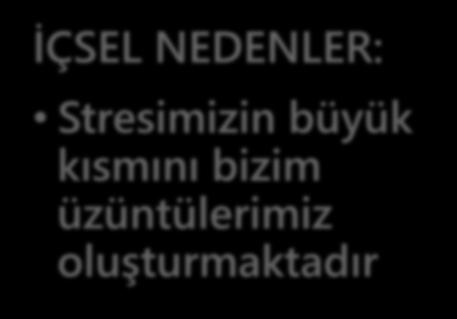 Eleştirilmek İÇSEL NEDENLER: