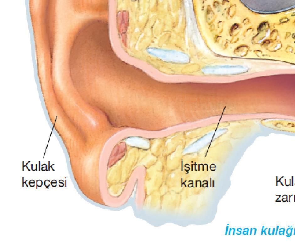 kanal içinde ve