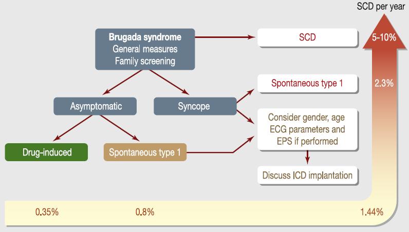 ICD Gourraud JB, et al.