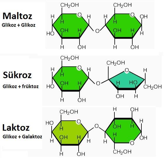 Karbonhidratların Yapısı Disakkaritler * İki monosakkaritin glikozidik bağlarla bağlanması ile oluşur. * Disakkaritler de basit şekerlerdir.