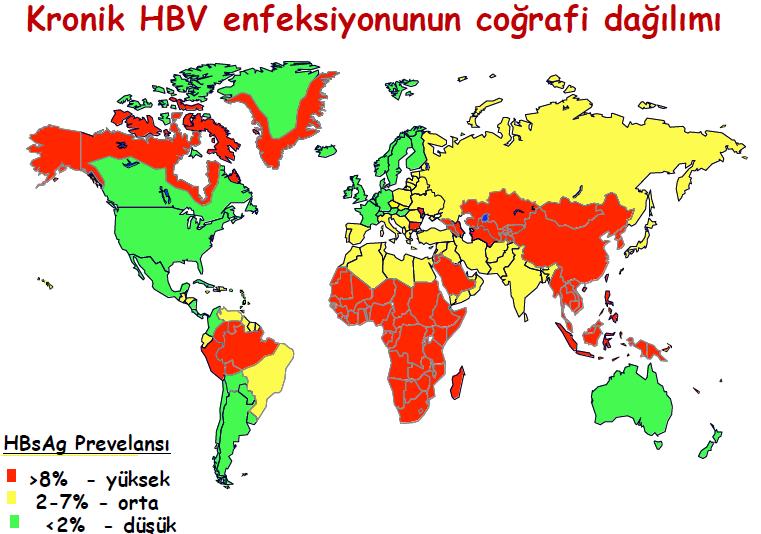 Ülkemizde HBV
