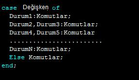 Burda Değişken parametresi ile belirlenen değişkenin aldığı duruma göre DurumN değerinin