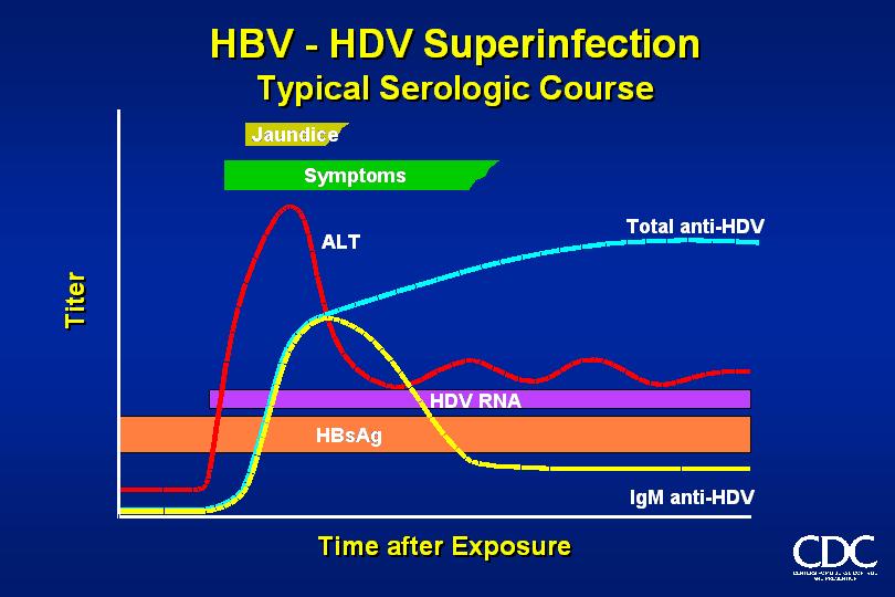KHB li hastada ALT üst sınırın 10 katı ve üzerindeyse anti-hdv araştırılmalı HBsAg pozitif, Anti HBcIgM negatif olan olguda, Anti-HDV IgM,