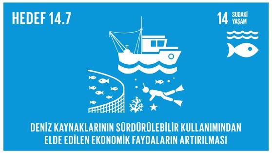 planlarının uygulanması Gelişmekte olan ve en az gelişmiş ülkelere özel ve farklı muamele ilkesinin Dünya Ticaret Örgütü balıkçılık teşvikleri müzakerelerinin ayrılmaz bir parçasını oluşturduğunu
