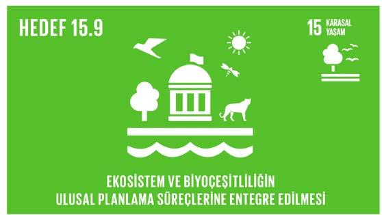 2020 ye kadar ekosistem ve biyoçeşitlilik değerlerinin ulusal ve yerel planlamalara, kalkınma süreçlerine, yoksulluğun azaltılmasına ilişkin stratejilere ve raporlara entegre edilmesi Biyoçeşitliliği