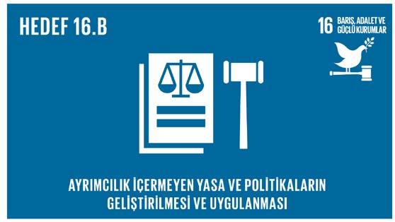 sağlanması ve temel özgürlüklerin korunması Özellikle gelişmekte olan ülkelerde şiddeti önlemek ve terör ve suçla mücadele etmek