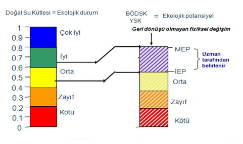 3 programında bentik makroomurgasız