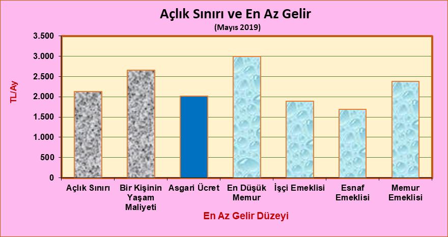 625 TL olan bir kişinin yaşama maliyeti hesaplamasına rağmen bekâr bir işçi için geçerli net asgari ücret tutarı 2019 yılının tamamı için 2.020 TL/Ay dır.