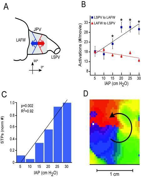 Effect of intra-atrial pressure on AF