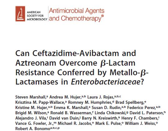 Seftazidim-avibaktam + Aztreonam In vitro