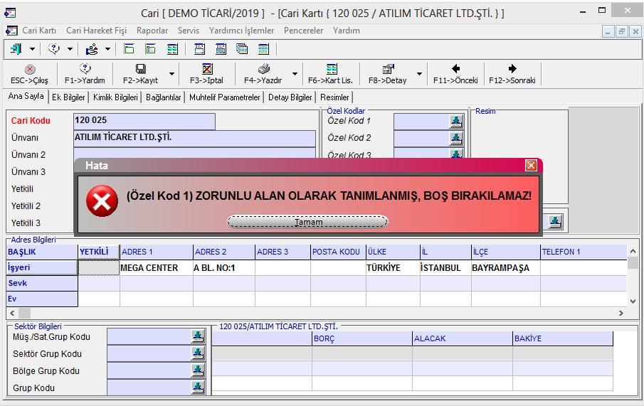 İşaretlendiğinde ilgili alana değer girilmeden kayıt yapılması engellenir.