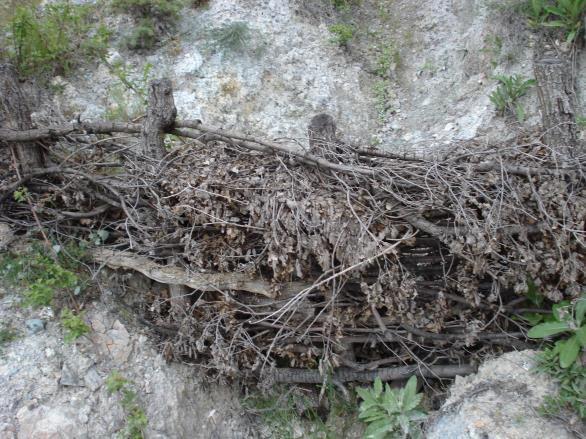 korunacak alanın değerine bağlı olarak