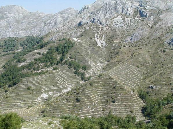 Ancak, can ve mal emniyeti açısından önemli olan özel şartlarda % 80 meyle kadar