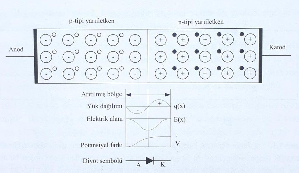 Yarıiletken Diyot: p ve n-tipi iki parçacığın yan yana getirilmesi ile oluşur. Üretim esnasında eklem veya arakesit civarında hareketli yükler birleşerek yok olurlar.