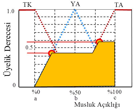 İlgili Öğretim Üyesinin yazılı izni olmadan