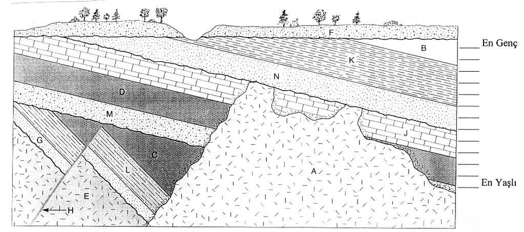 36 UYGULAMA 1 a) Aşağıdaki jeolojik kesitte harflerle belirtilen kayaçları ve yapıları oluşum sırasına göre yaşlıdan gence doğru sıralayarak yandaki lejanda yazınız b) ölgede etkili olmuş jeolojik