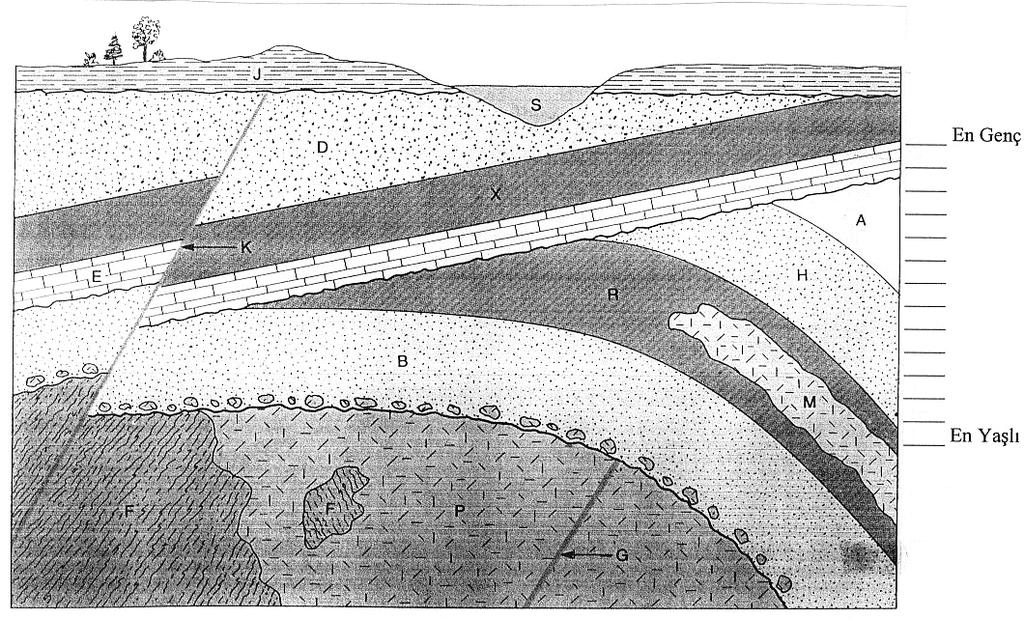 38 ÖDEV 1 a) Aşağıdaki jeolojik kesitte harflerle belirtilen kayaçları ve yapıları oluşum sırasına göre yaşlıdan gence doğru sıralayarak yandaki lejanda yazınız b) ölgede etkili olmuş jeolojik evrimi