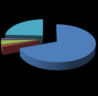 Bu projenin gerçekleşme oranı % 96 olmuştur. 3.8.Muhtelif İşler: Adı : Muhtelif İşler No : 2010H030380 Yılı Ödeneği Revize Ödenek Oranı (%) 2010 1.926.500 1.926.500 1.638.