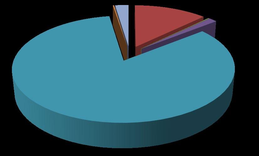 MAL VE HİZMET ALIM GİDER Sİ 0% 2% 0% 0% 0% 13% 0% 2% 83% ÜRETİME YÖNELİK MAL VE MALZEME AL. TÜKETİME YÖNELİK MAL VE HİZMET AL.G. YOLLUKLAR GÖREV GİDERLERİ HİZMET ALIMLARI TEMSİL VE TANITMA GİDERLERİ MENKUL MAL, GAYRİMADDİ HAK AL, BAK.