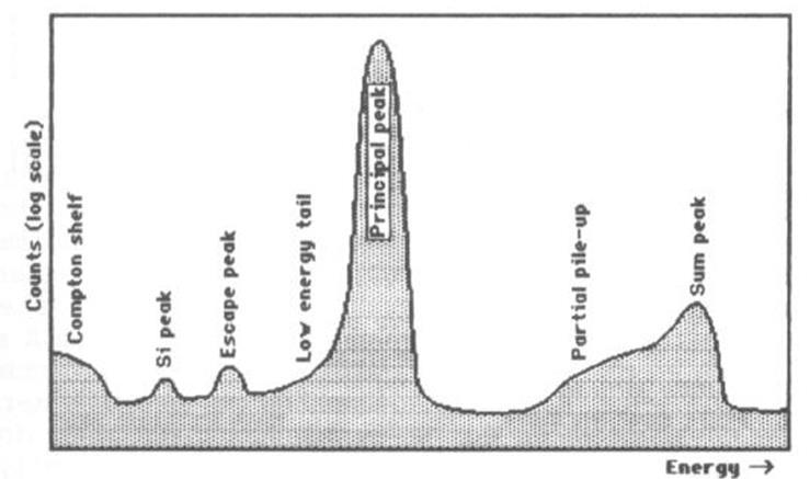 YAPAY PİKLER Enerji Dağılım Spektrometresi ile alınmış tek bir element pikinin şematik diyagramı şekilde verilmiştir.
