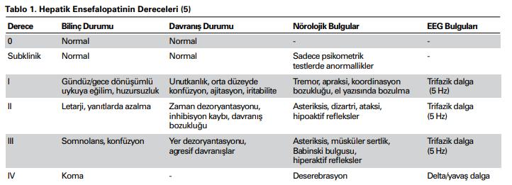 Fulminan Hepatit (Akut