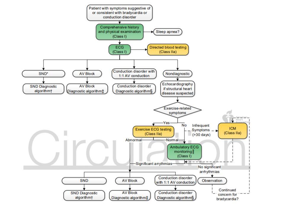 ICM: İmplantable Cardiac Monitor *Evaluation