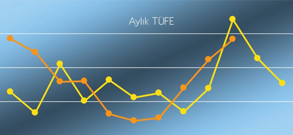 Merkez Bankası son enflasyon raporunda bu yıla ilişkin beklentisini değiştirmemiş ve % 7,5 te tutmuştu. 2010 enflasyonu, orta noktası % 7,5 olmak üzere % 7 ile % 8 arasında bekleniyordu.