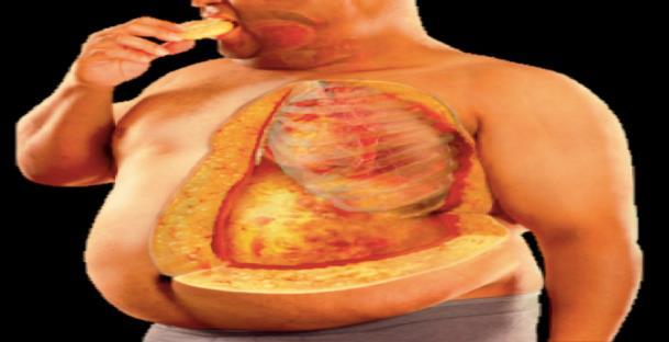 Obezitenin patogenezi Bej ise kahverengi kadar olmasa da bir miktar termojenik etkisi olan bir yağ dokusudur.