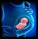Gebelikte Fetal Risk Oluşturan Enfeksiyonlar