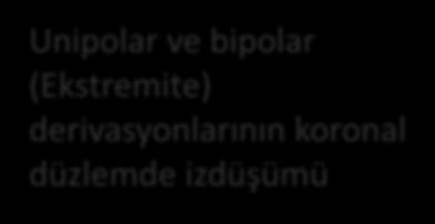 Unipolar ve bipolar (Ekstremite) derivasyonlarının