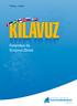 Türkçe - turkki KILAVUZ. Finlandiya'da Girişimci Olmak