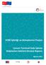 KOBİ İşbirliği ve Kümelenme Projesi. Çorum Tarımsal Gıda İşleme Makineleri Sektörü Strateji Raporu