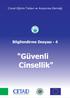 Cinsel Eğitim Tedavi ve Araştırma Derneği. Bilgilendirme Dosyası - 4. Güvenli Cinsellik CİNSEL EĞİTİM TEDAVİ VE ARAŞTIRMA DERNEĞİ