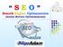 S E O Search Engine Optimization (Arama Motoru Optimizasyonu)