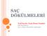 SAÇ DÖKÜLMELERİ. Yrd.Doç.Dr. Nazlı Dizen Namdar. DPÜ Tıp Fakültesi Deri ve Zührevi Hastalıklar Anabilimdalı