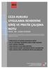 CEZA HUKUKU UYGULAMA REHBERİNE GİRİŞ VE PRATİK ÇALIŞMA NOTU