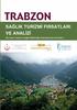 TRABZON SAĞLIK TURİZMİ FIRSATLARI VE ANALİZİ