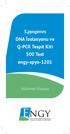 S.pyogenes DNA İzolasyonu ve Q-PCR Tespit Kiti 500 Test engy-spyo-1201