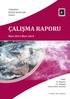 ÇALIŞMA RAPORU. Mart 2013-Mart 2014. tihv 8. Dönem 25. Olağan Kurucular Kurulu. 15 Mart 2014, Ankara