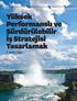 Yüksek Performanslı ve Sürdürülebilir İş Stratejisi Tasarlamak. S. Şahin Tulga