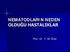 NEMATODLARIN NEDEN OLDUĞU HASTALIKLAR. Prof. Dr. Y. Ali Öner