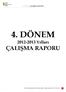 4. DÖNEM 2012-2013 Yılları ÇALIŞMA RAPORU